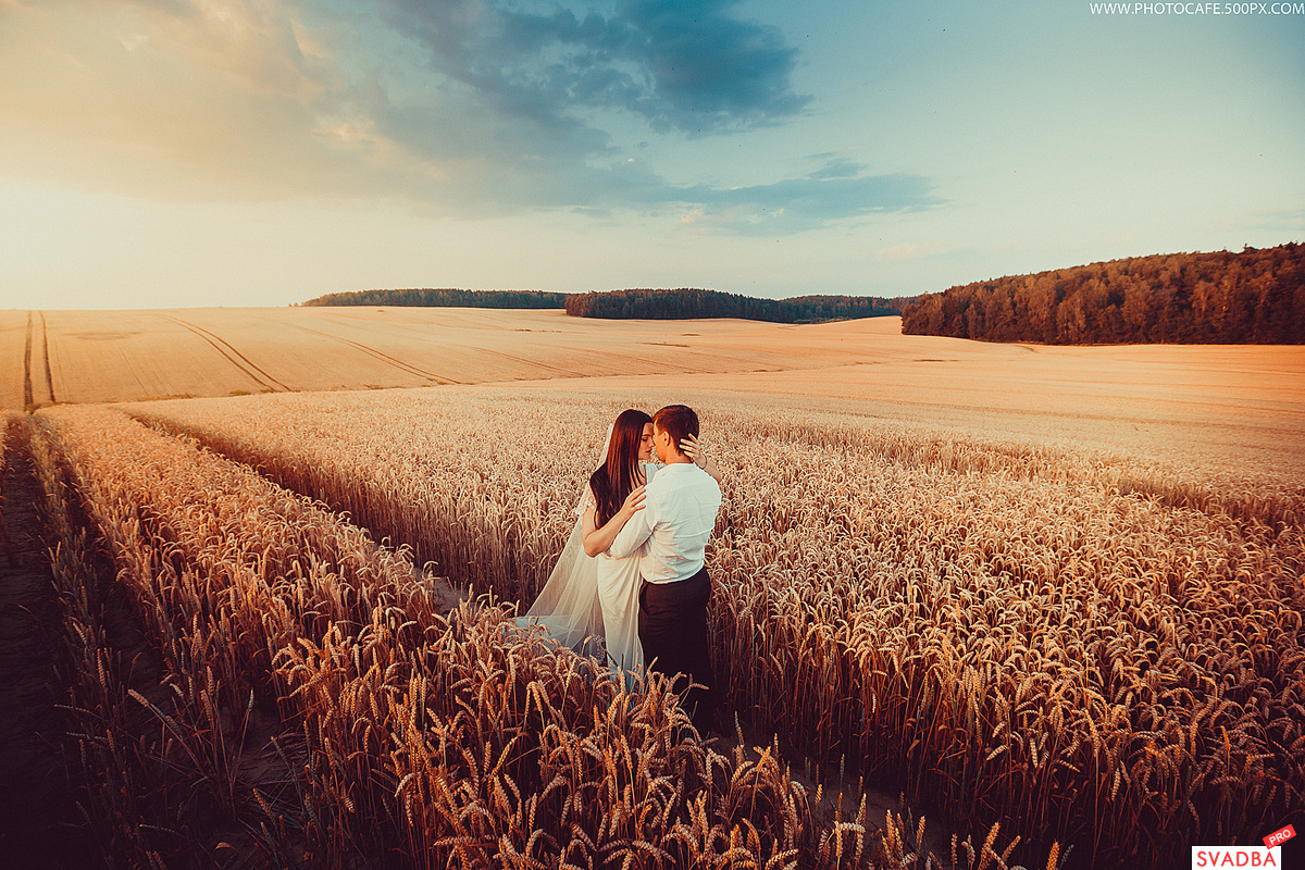 Fields of Gold